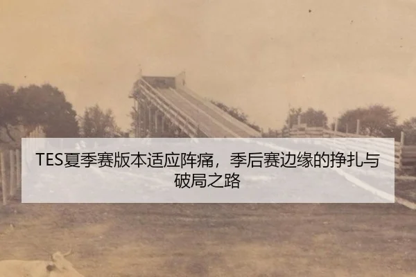 xia-ji-sai-ban-ben-shi-ying-zhen-tong-ji-hou-sai-bian-yuan-de-zheng-zha-yu-po-ju-zhi-lu-3-555.jpg