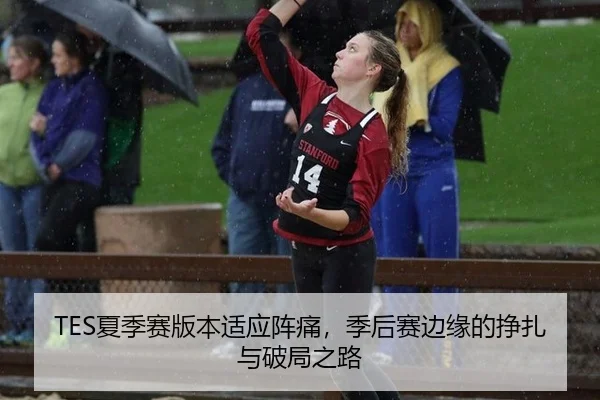 TES夏季赛版本适应阵痛，季后赛边缘的挣扎与破局之路